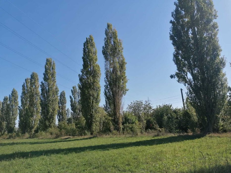teren intravilan Ploiesti Dambu Moara Noua Corlatesti Mihai Bravu