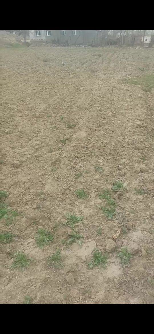 Yer sotiladi murojat qilish ucun nomer qoldirdim