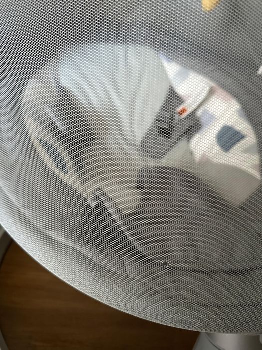 Leagan electric EvoSmart 0-6 luni muzica bluethooth 5 trepte leagan