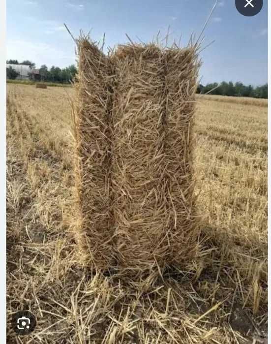 Vand baloti de paie dreptunghiulari