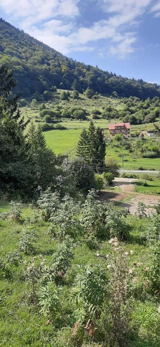 Vând teren intravilan 2500mp