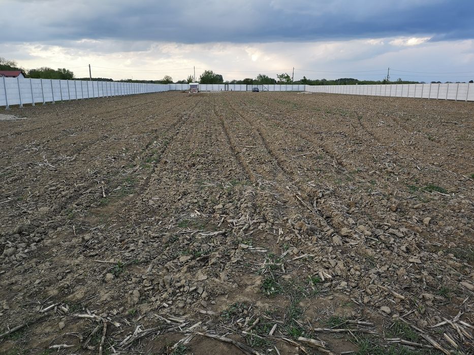 Teren Intravilan împrejmuit Contesti Dâmbovița