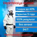 Дезинфекция Dezinfeksiya вывести клопов тараканов блох мошек клапа