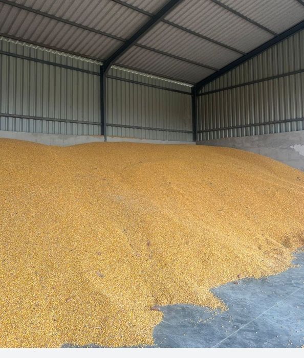 De vânzare malai uscat și Orz