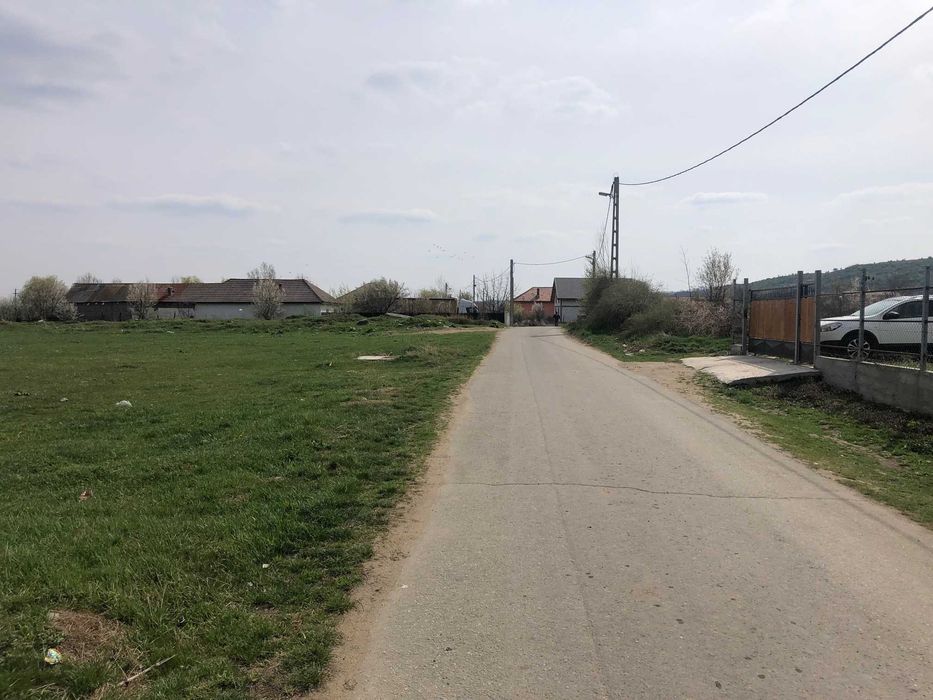 Teren 3000 mp Podari-Livezi