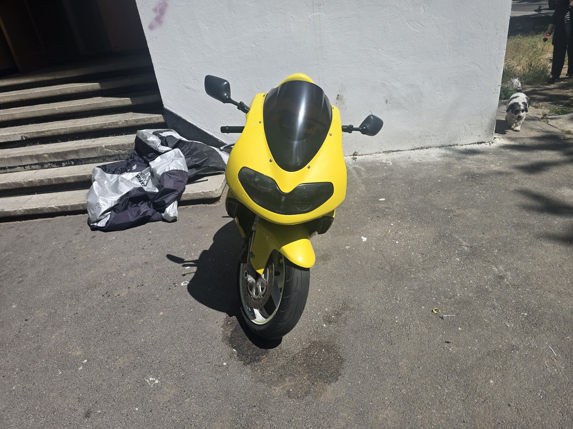 Motocicleta SUSUKI TL1000R
