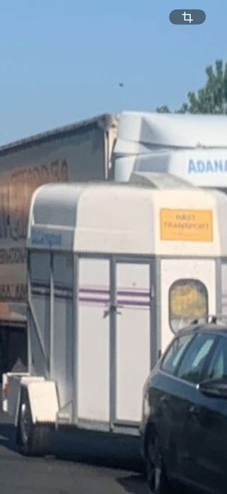 Remorcă transport animale