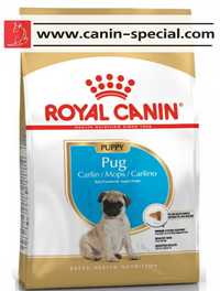 Royal Canin Мопс