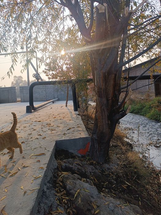 uy sotiladi orta chirchiq futsitidan 6 km pasda