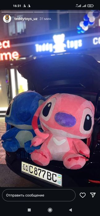 Teddi Teddy Ayiq (80sm 3m)