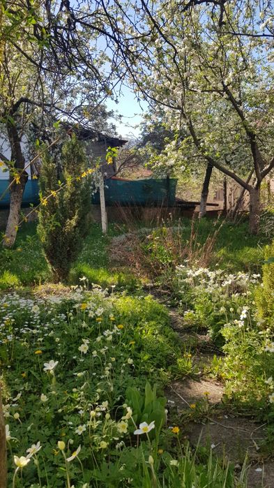 Продава се Къща в Бобов дол - 120 кв.м за 353 €/кв.м - Снимка #4