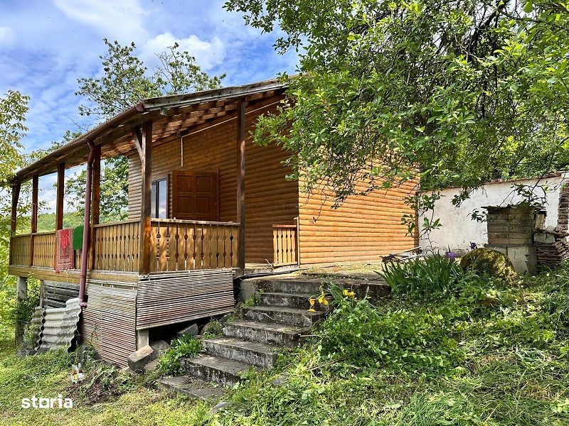 Casa de vacanta