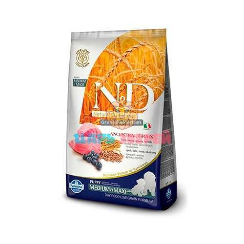 Farmina N&D-корм для щенков средних и крупных пород ягненок, черника