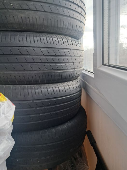 Продам ризина  летной
