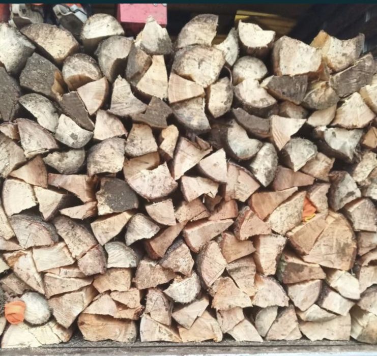 Lemn de foc esenta fag stejar carpen