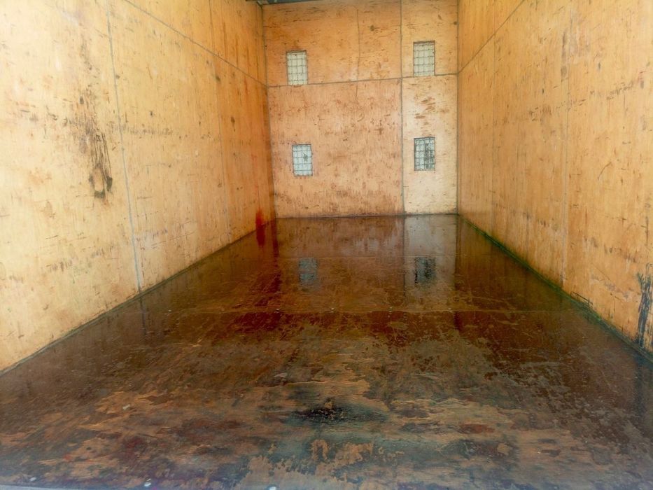 2019yil Shtorka qilingan 25kuba