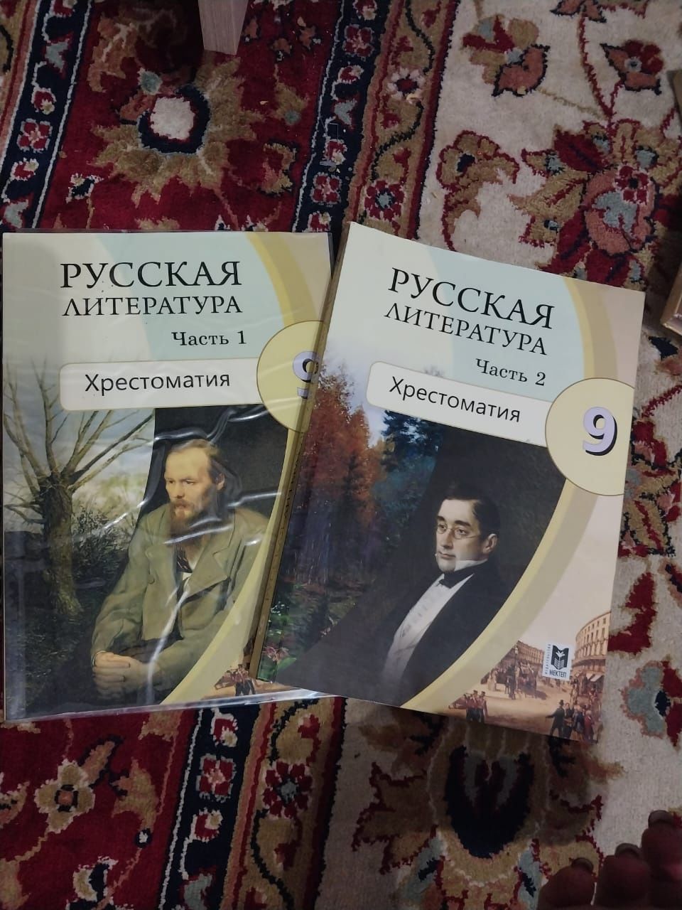 Учебники 9класс комплект или поодному