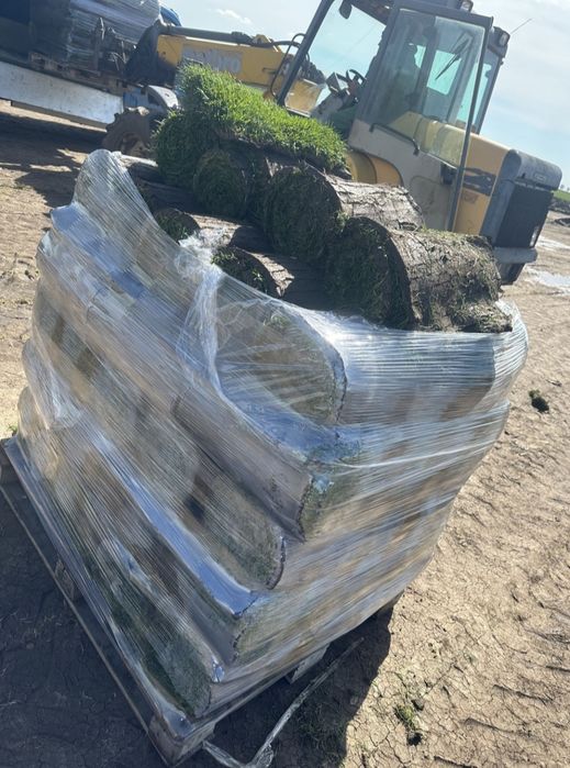 Gazon rulou sisteme de irigare