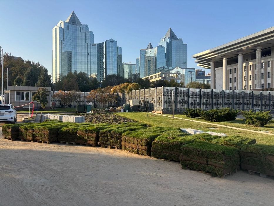 Живой рулонный газон от Питомника звоните доставка и укладка