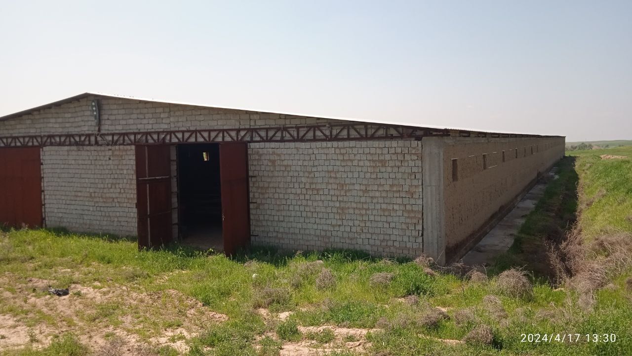 Qo‘y va qo‘yhona sotiladi
