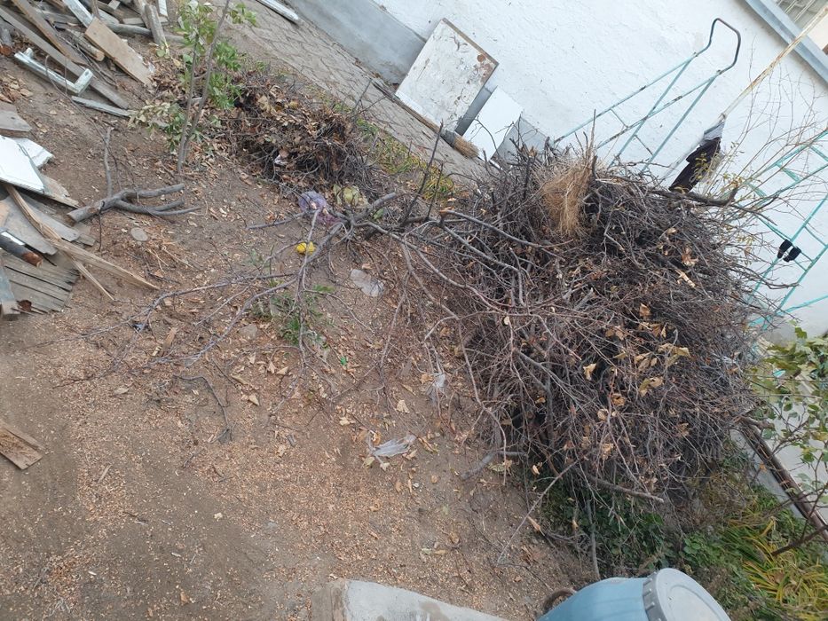 Otin sotiladi/Продаётся драма.