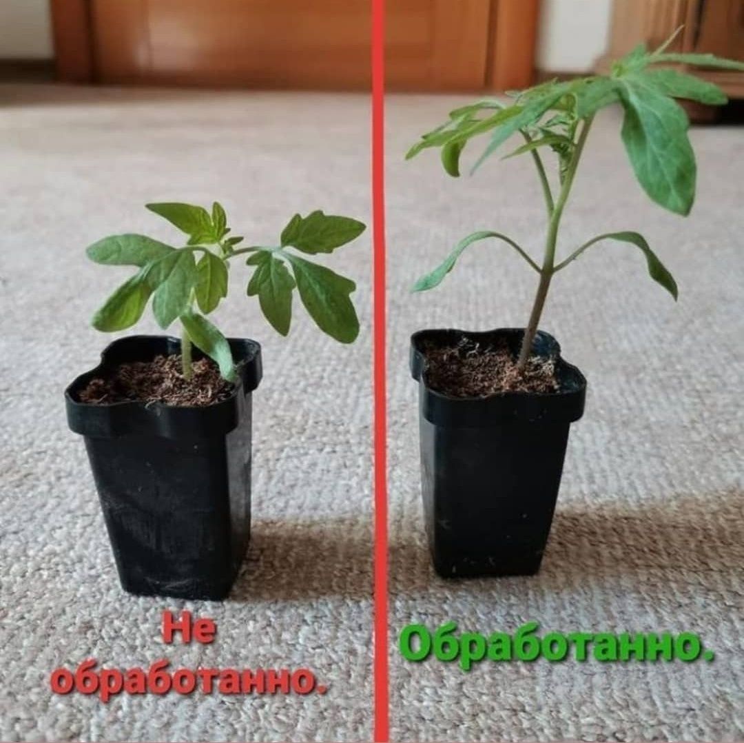 Сила Кремния 1.5кг