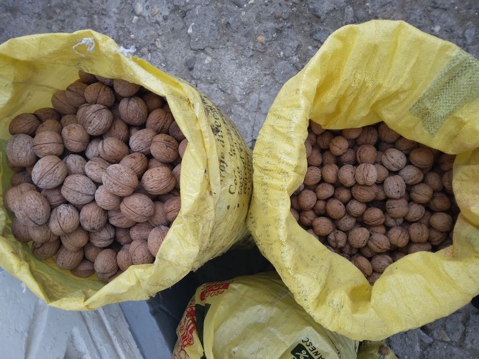 Vând nuci in coajă