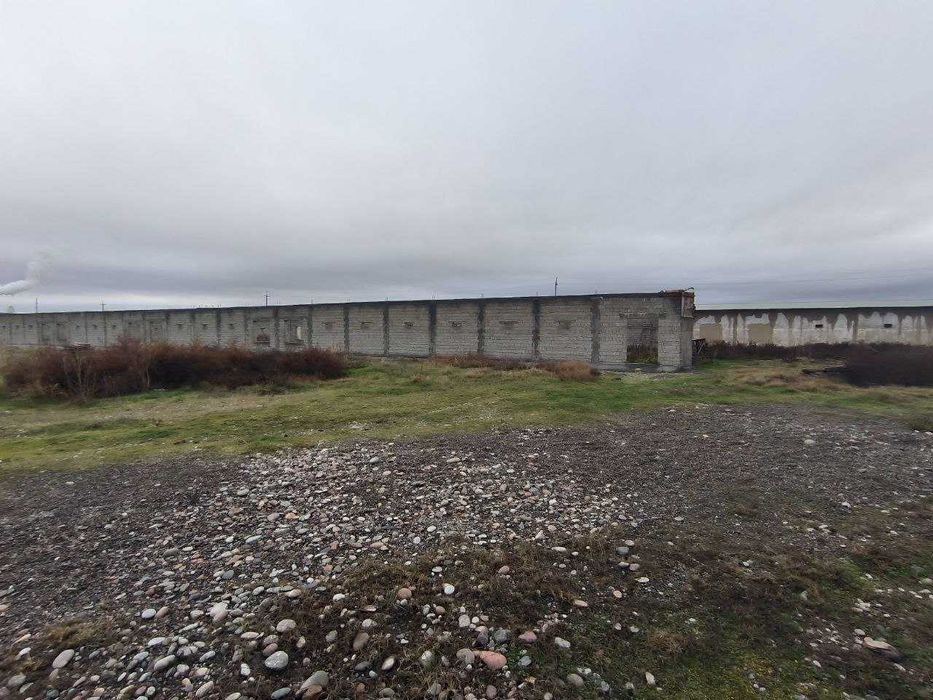 Surum, Bag'ishda 2.4 GA tovuq ferma sotiladi, Quyichirchiq tumani.