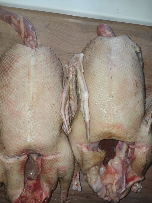 Мясо гуся утки индюка