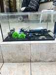Acvariu 60l kit complet