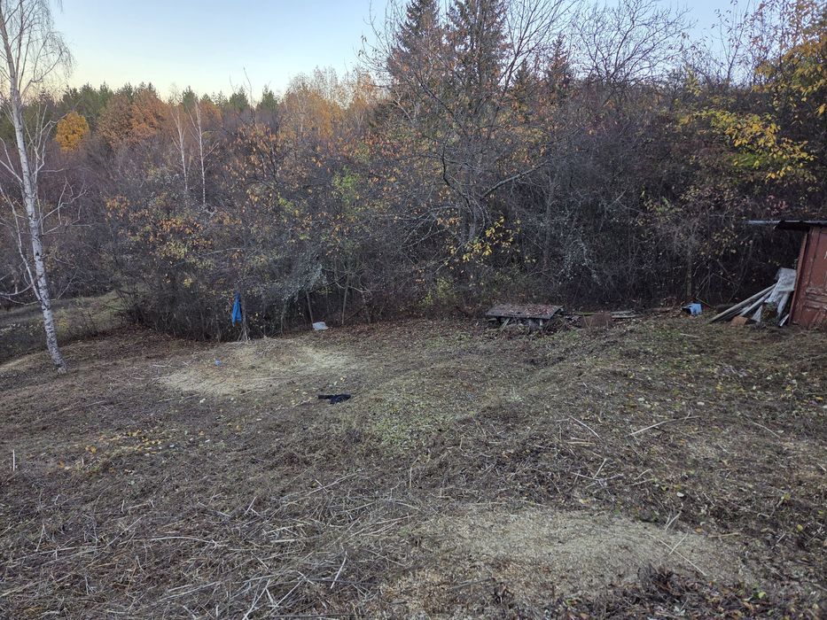 Почистване на запустели парцели и имоти