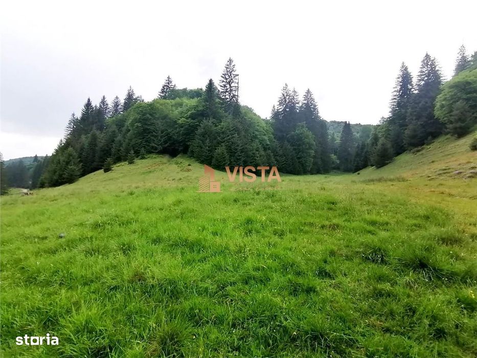 Teren intravilan Poiana Brasov, 2760 mp, PUZ constructie casa D+P+2E