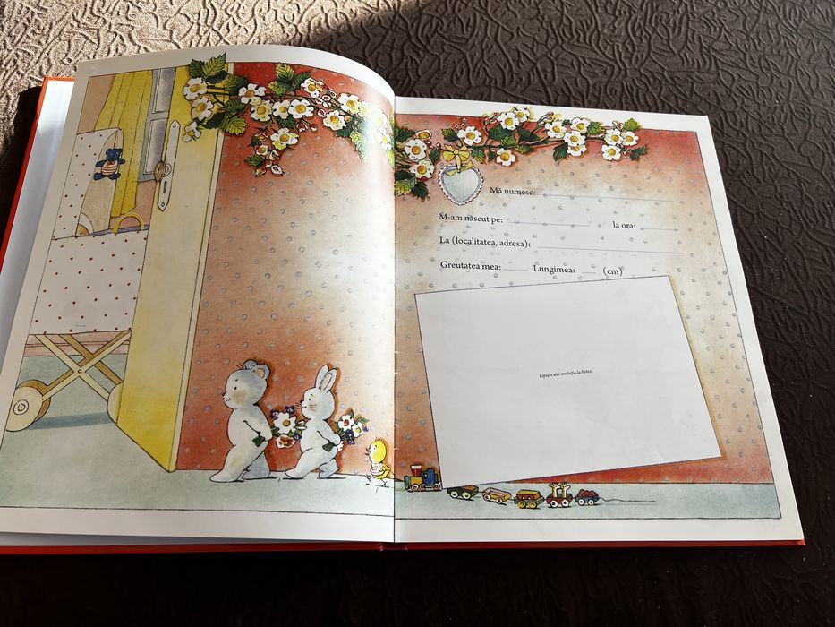 Albumul bebelusului meu