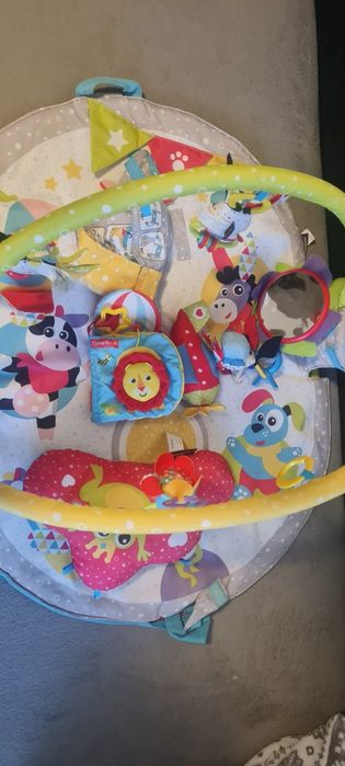 Salteluta activitati