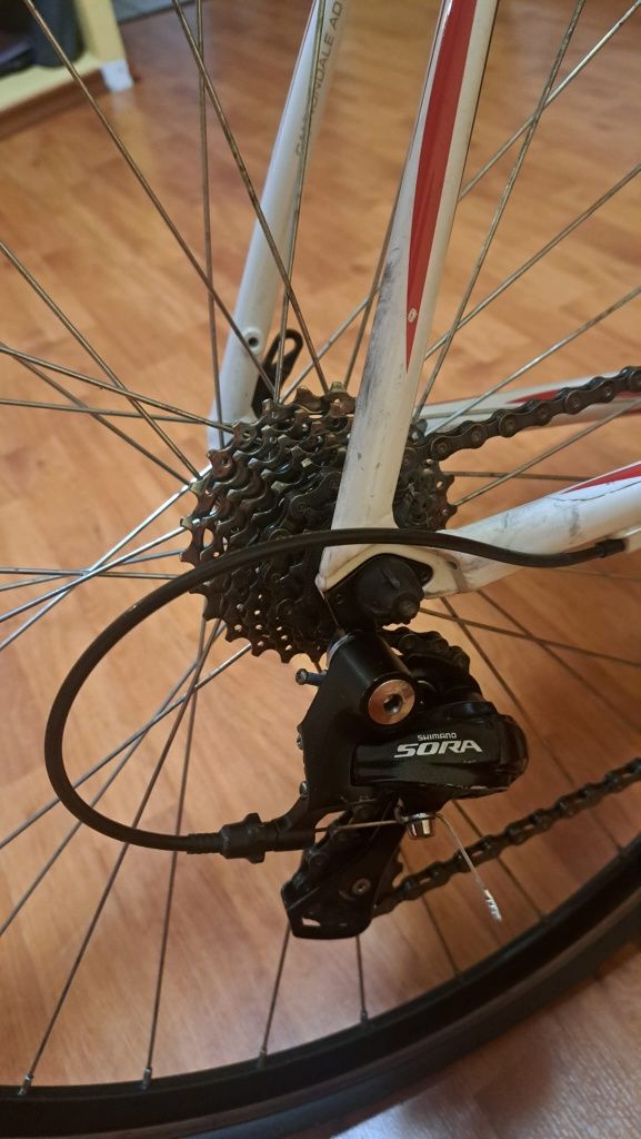 Cursiera Cannondale CAAD8
