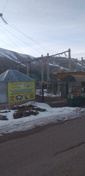 Инвестор нужен для разведения рыбы