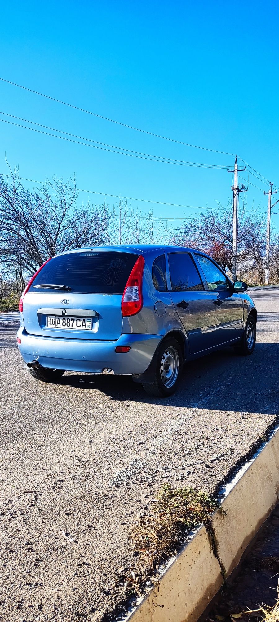 Lada kalina v xoroshom sostoyanie