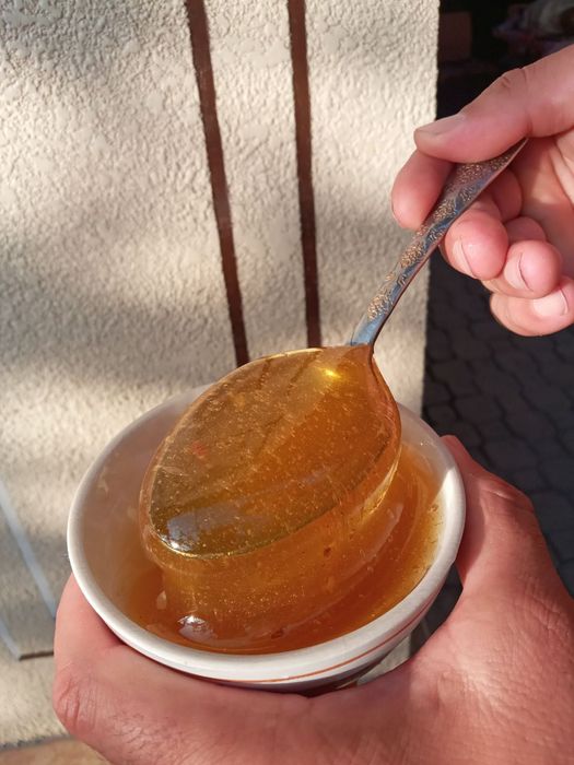 Tabiiy toģ asali 100% tabiiy