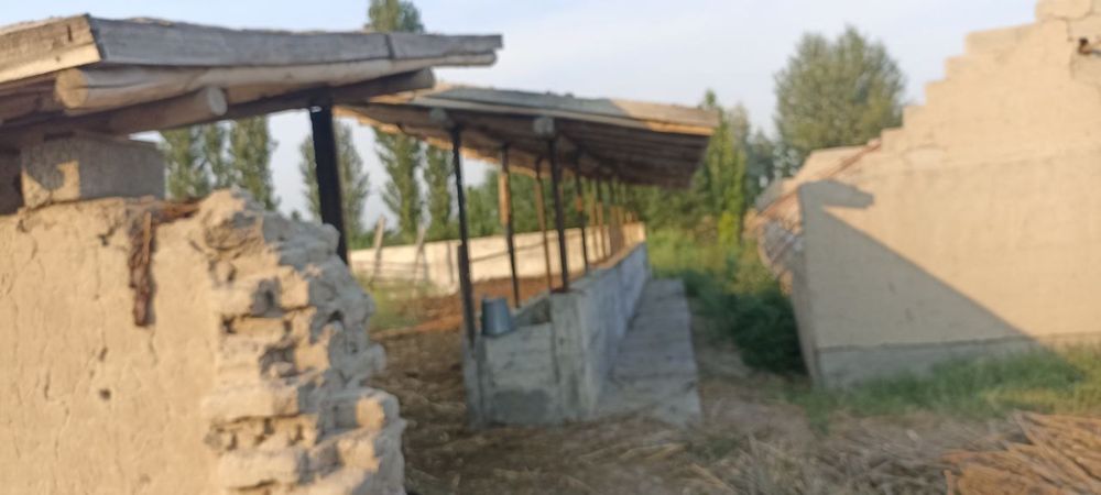 Biznes uchun bino katta maydonli