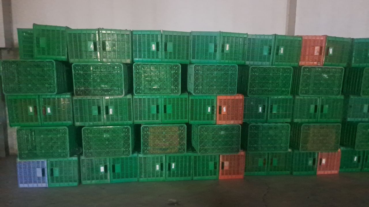 Plastmassa yashik