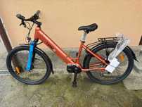 Bicicleta electrica T-Bird Golden Gate