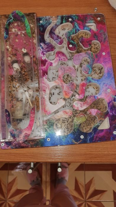 Формикарий от Антпланет без муравьёв.