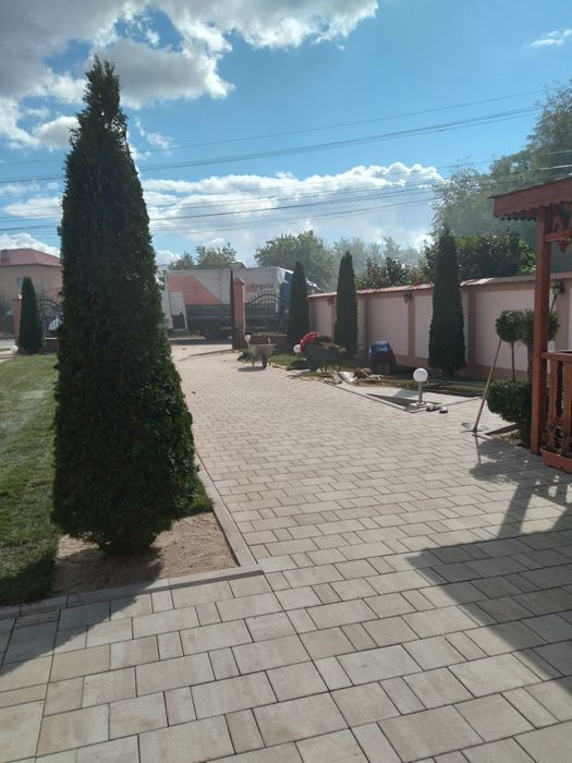 Gazon rulou calitatea premium