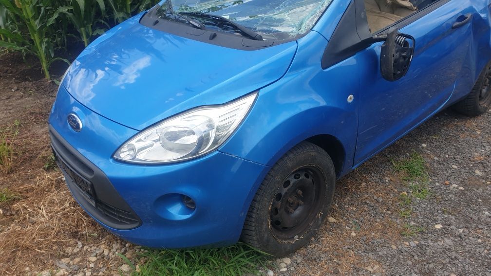 Aripa Ford Ka ,an 2009-2016