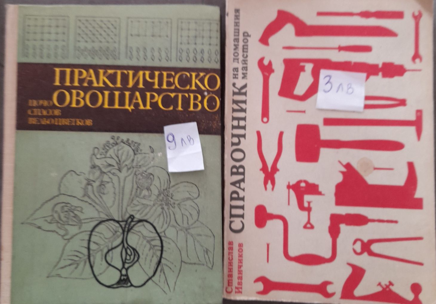 Оригинална анатомия на Bammes, албум на Ревбранд,за градината и дома