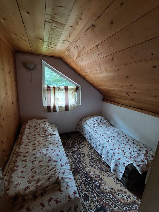 Cabane de inchiriat Padurea Neagra si Grosi Valea Gepisului