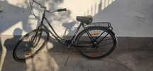 Bicicleta de oras pegasus