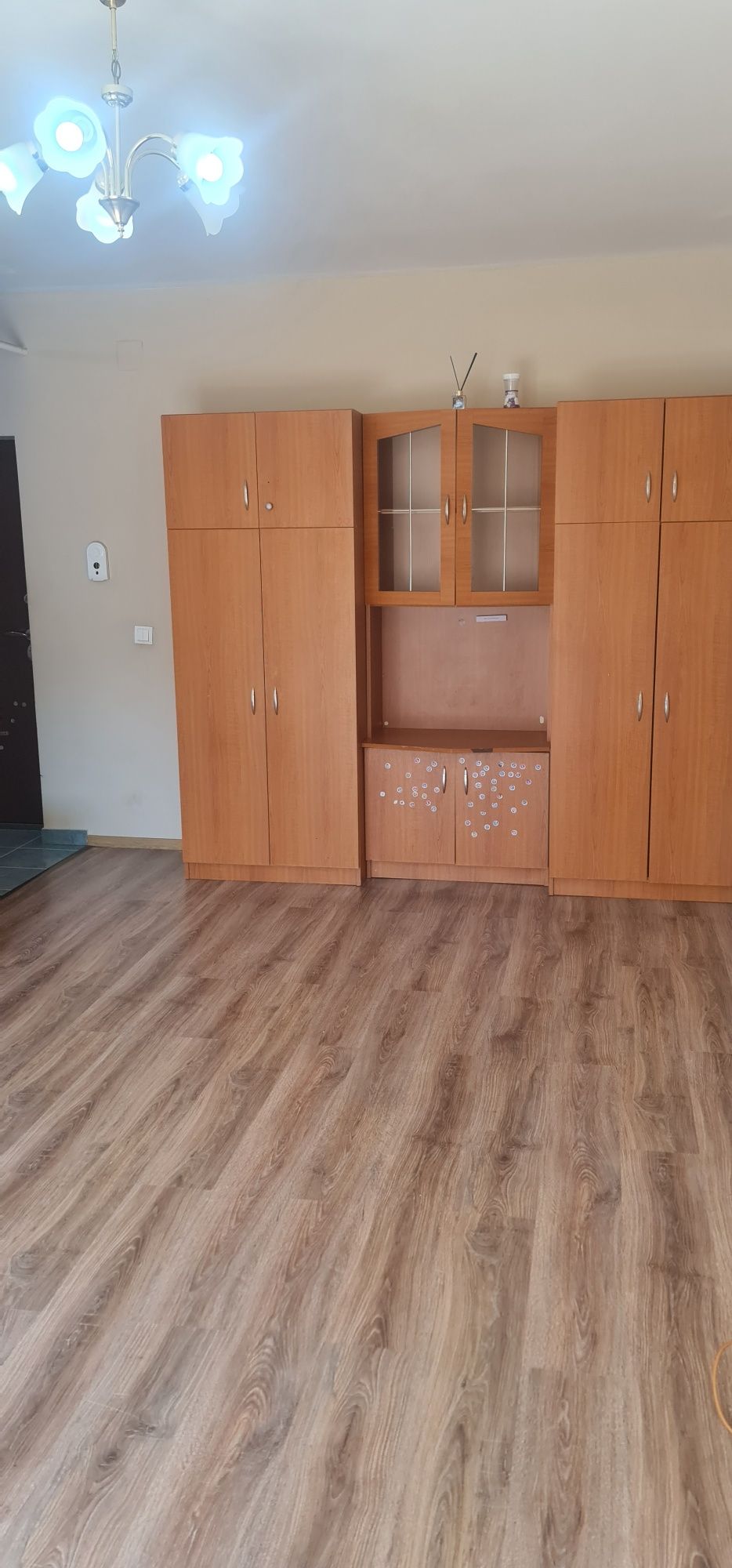Apartament 1 cameră