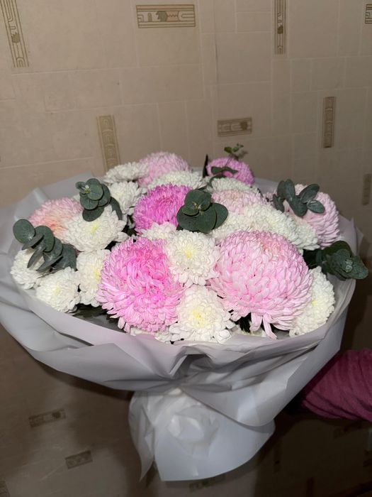 Красивые цветы Астра хризантема