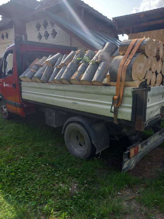 Vind  lemne esenta tare fag stejar salcim